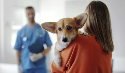 CMA publishes final decision on vet market